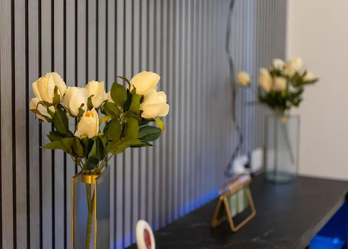 Daire Stylish Modern Bristol